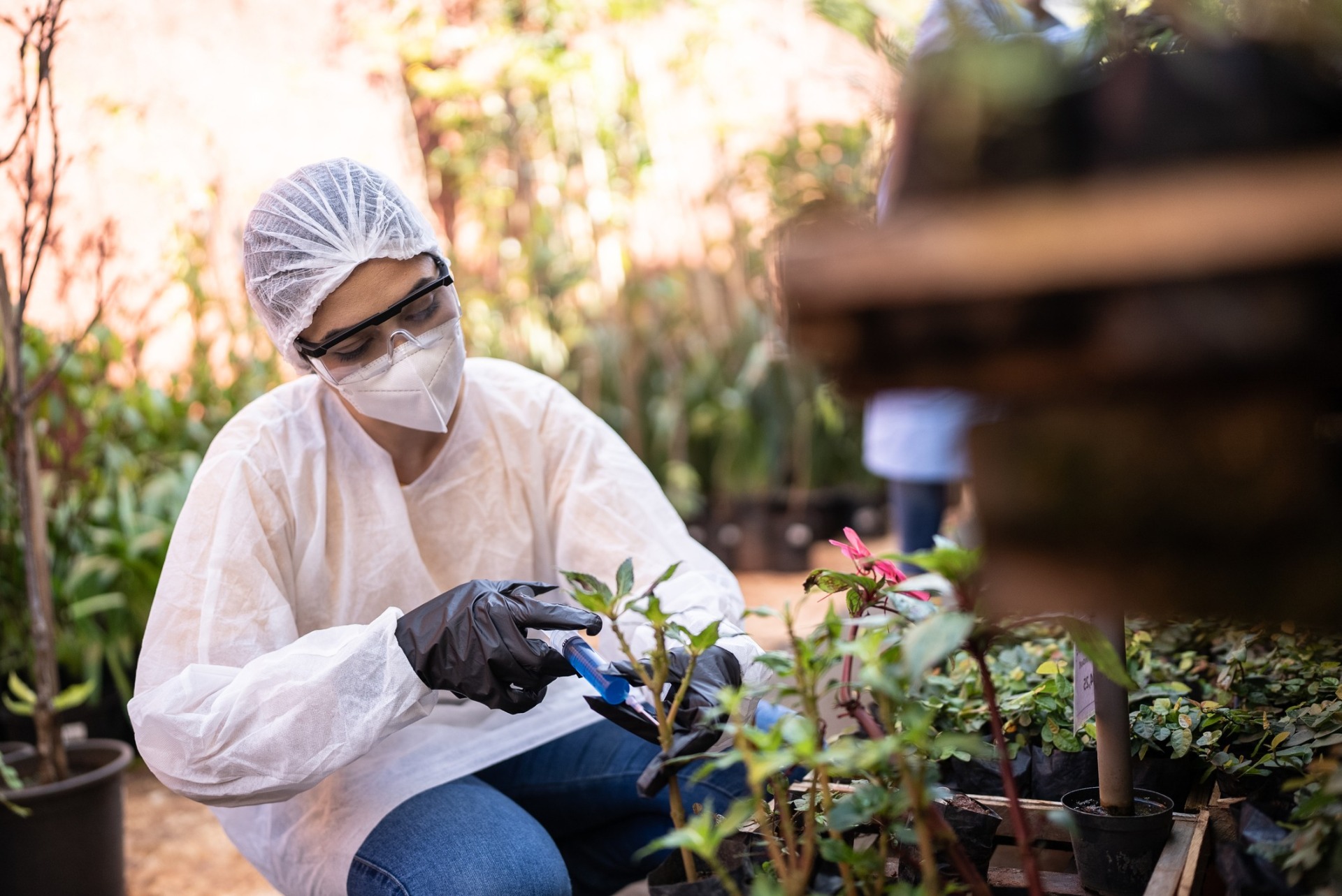 o que é biotecnologia