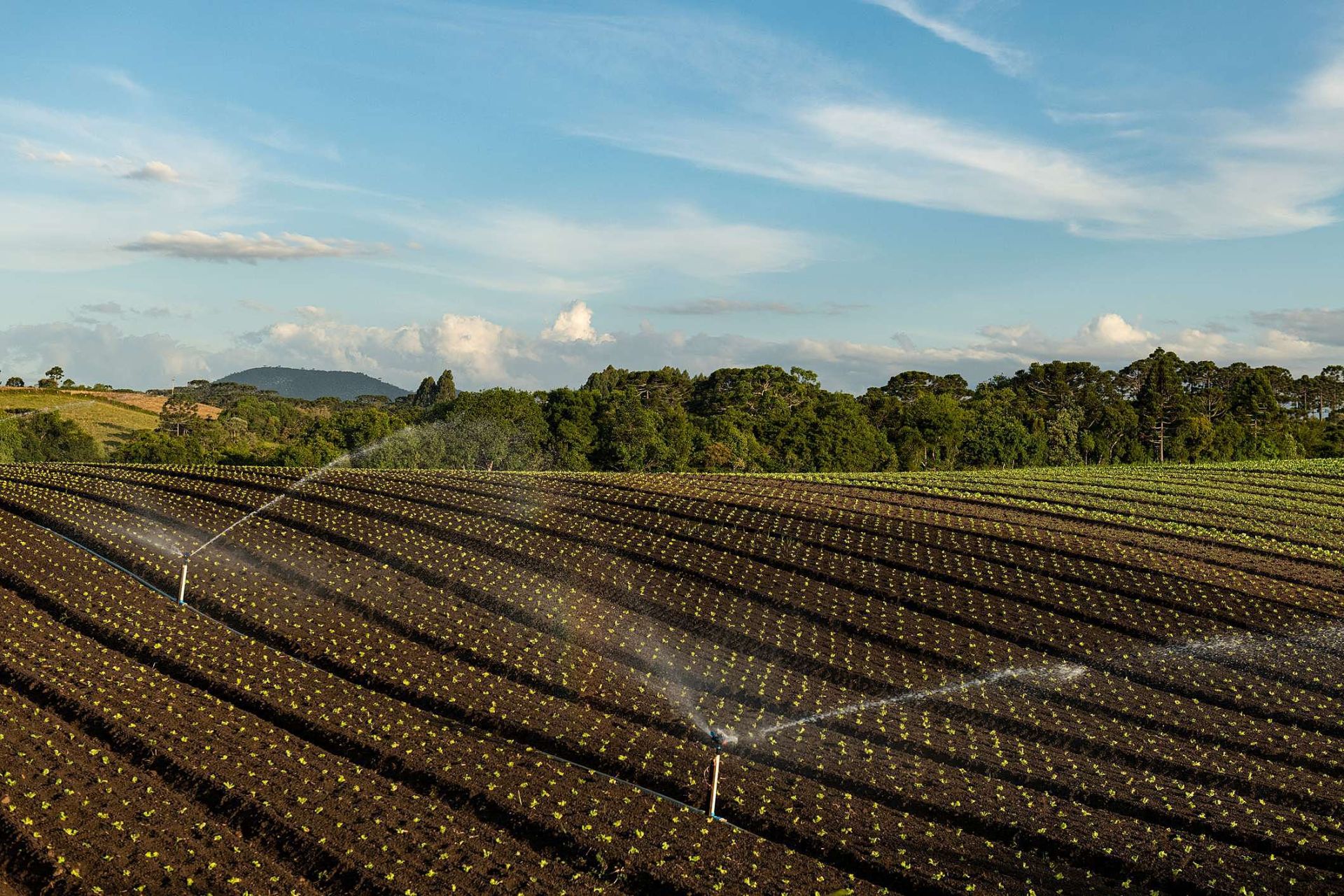 biodiversidade e agricultura